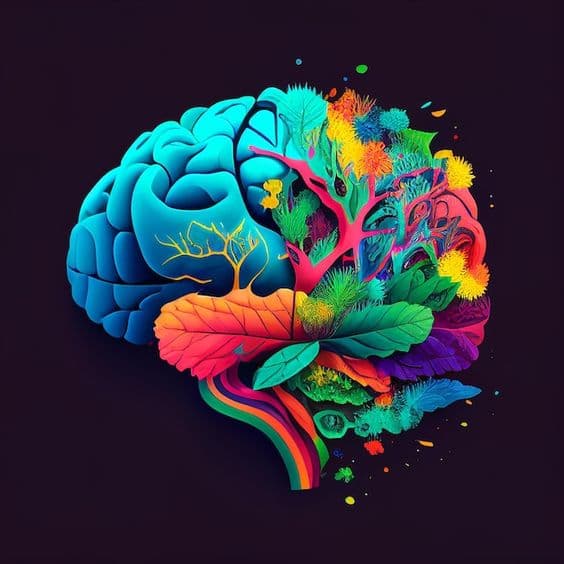 O Mito do 'Aluno Gênio': Como a Mentalidade de Crescimento (Growth Mindset) transforma resultados